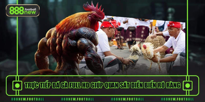 Trải Nghiệm Đá Gà 888NEW - Trực Tiếp Full HD, Đa Kèo Cược - BETVORO69 Trải Nghiệm Đá Gà 888NEW - Trực Tiếp Full HD, Đa Kèo Cược - BETVORO69