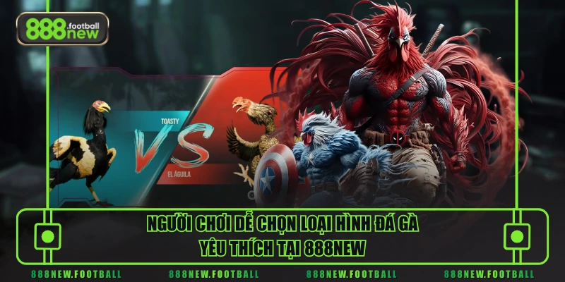 Trải Nghiệm Đá Gà 888NEW - Trực Tiếp Full HD, Đa Kèo Cược - BETVORO69 Trải Nghiệm Đá Gà 888NEW - Trực Tiếp Full HD, Đa Kèo Cược - BETVORO69