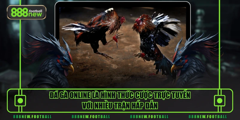 Đá Gà Online - Cược Là Trúng, Thắng Là Có Thưởng Lớn - BETVORO69 Đá Gà Online - Cược Là Trúng, Thắng Là Có Thưởng Lớn - BETVORO69