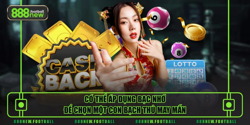 Tìm Hiểu Bạch Thủ Lô Cùng Các Phương Pháp Soi Cầu Chuẩn - BETVORO69