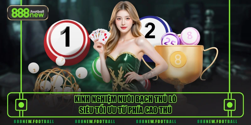 Tìm Hiểu Bạch Thủ Lô Cùng Các Phương Pháp Soi Cầu Chuẩn - BETVORO69