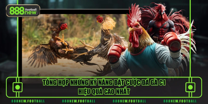 Đá Gà C1 - Luật Chơi Và Bí Quyết Thắng Lớn Lên Đến 99,9% - BETVORO69