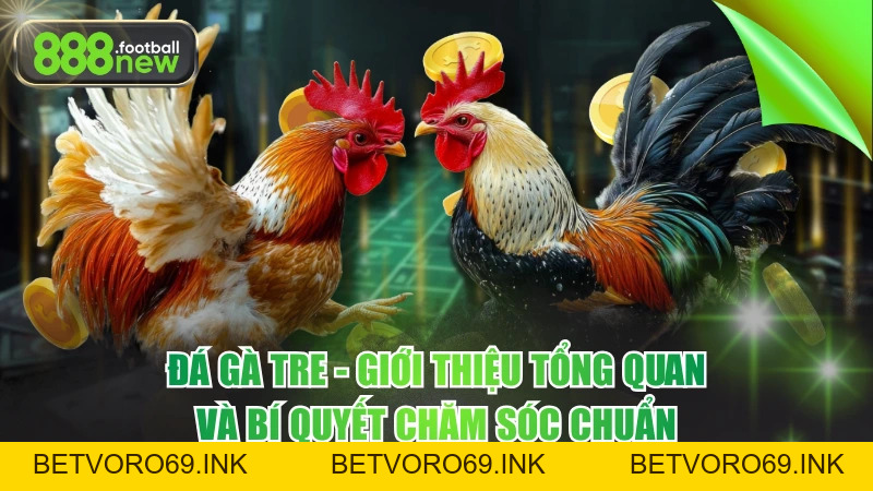 Tin Tức - 888NEW - BETVORO69 Tin Tức - 888NEW - BETVORO69