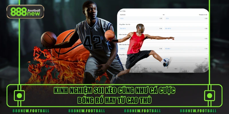 Kèo Cược Bóng Rổ - Khám Phá Từ Cơ Bản Đến Nâng Cao - BETVORO69 Kèo Cược Bóng Rổ - Khám Phá Từ Cơ Bản Đến Nâng Cao - BETVORO69